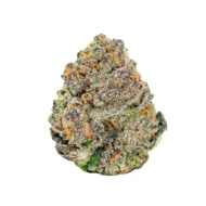 Blue Nerdz - Image 2