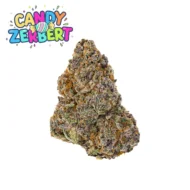 Candy Zerbert