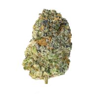 Black Runtz - Image 2