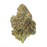 Cookie Monsterm - Image 2