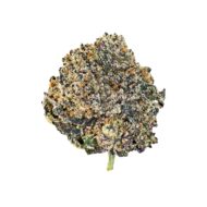 Blueberry Gumbo - Image 2