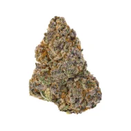 Candy Zerbert - Image 2