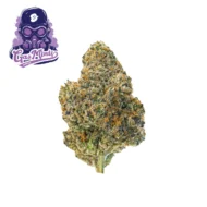 Purple Gas Mintz