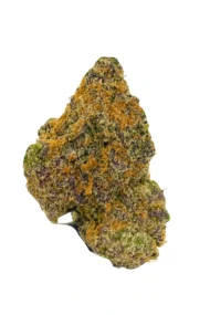 Mimosa Trufflez - Image 2